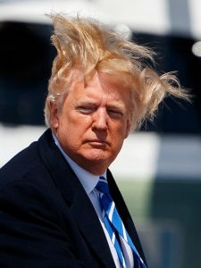Celebrity Hair Loss Example Trump